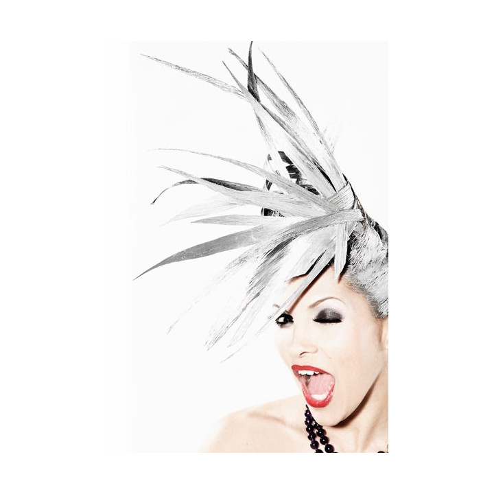 CARTE POSTALE JE VOIS